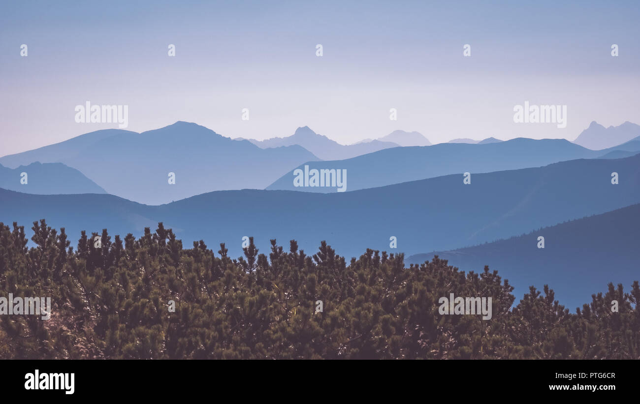 western carpathian mountain tops in autumn covered in mist or clouds ...