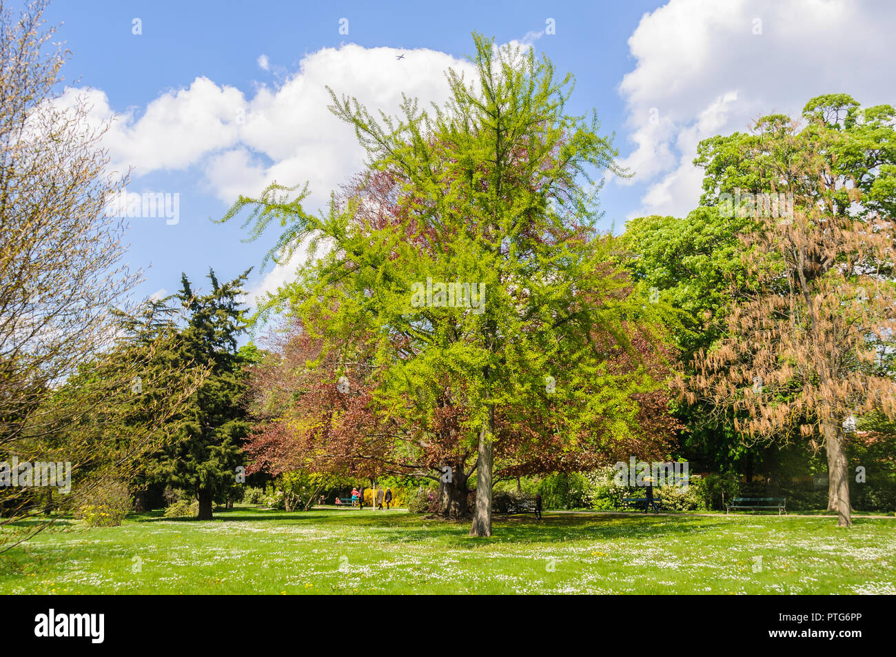 The garden in Schoenbrunn Palace in the city of Vienna, Austria Stock Photo