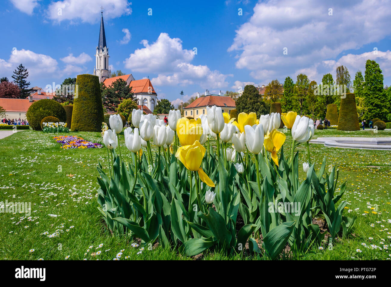 Flowers in Schoenbrunn in the city of Vienna, Austria Stock Photo
