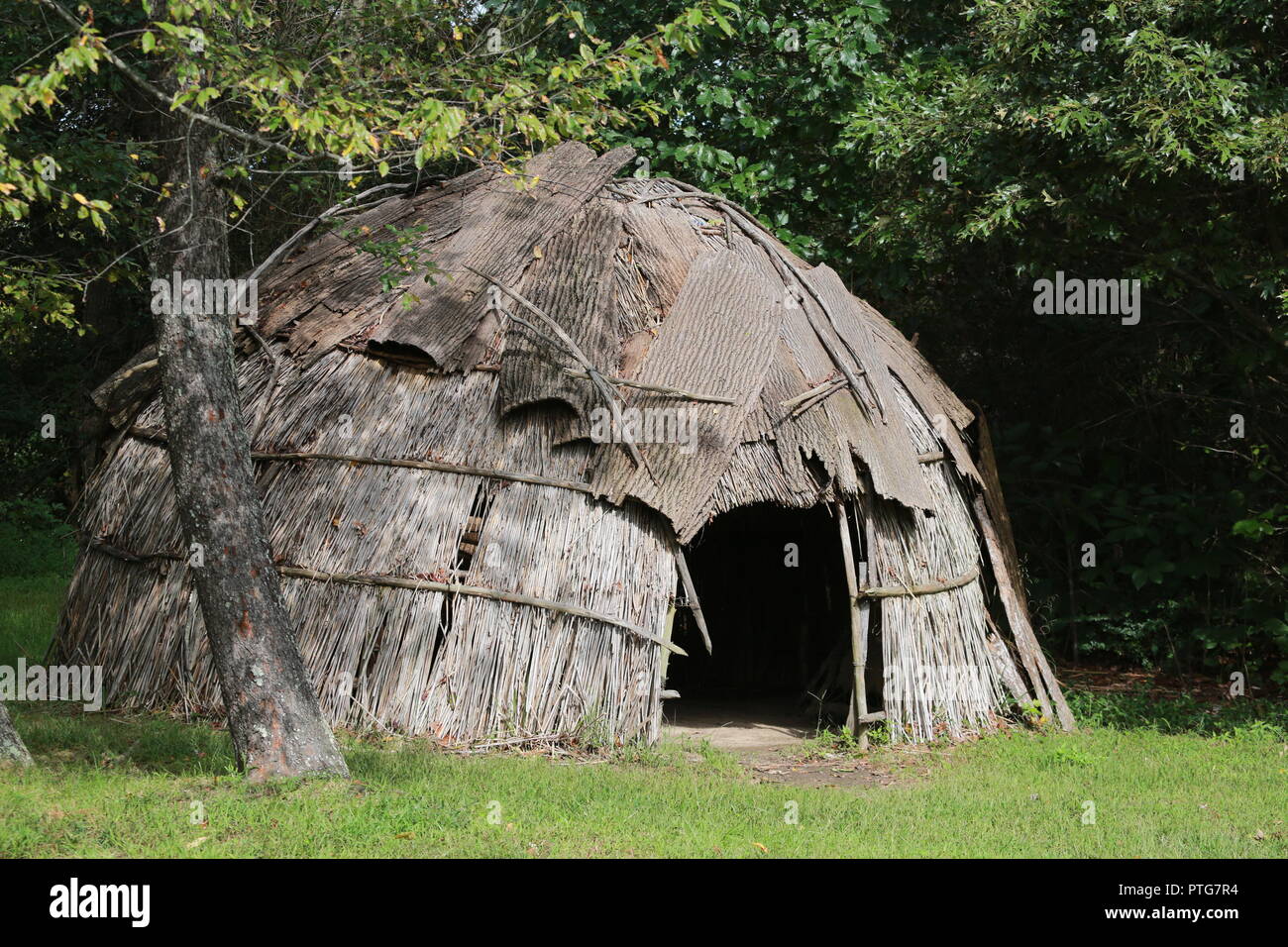 Native American Wigwam Reconstruction At Forest Edge Stock Photo Alamy Native American Wigwam Reconstruction At Forest Edge Stock Photo Alamy
