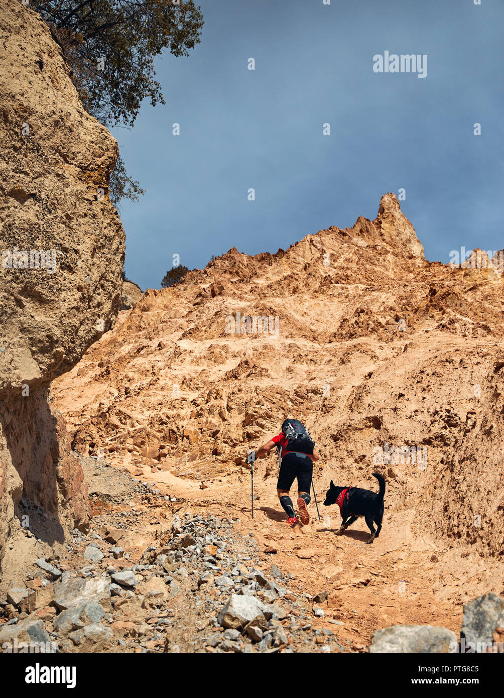 Man with backpack in red shirt and black dog hiking in the mountains. Outdoor travel concept Stock Photo