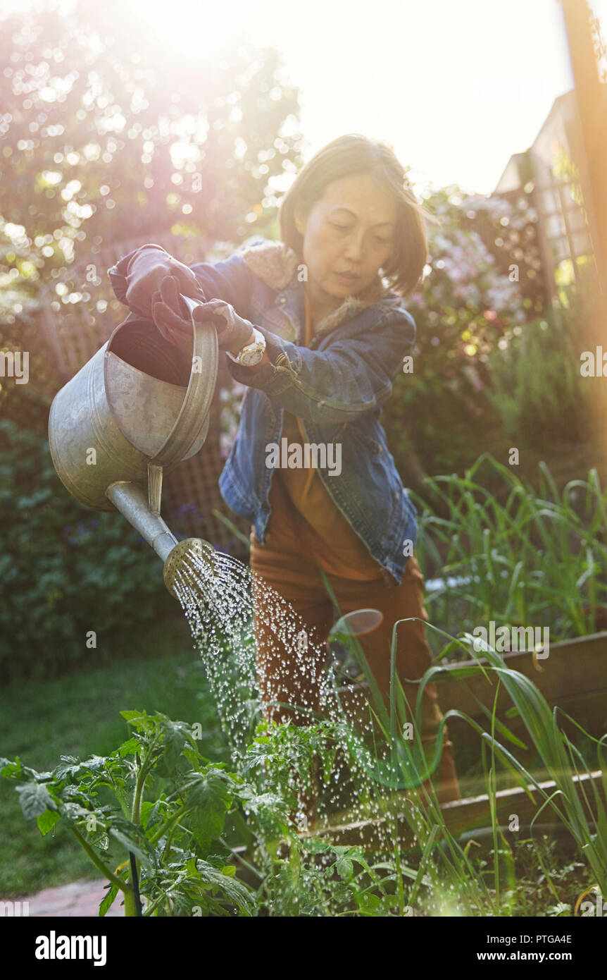 Active senior woman gardening, watering plants Stock Photo