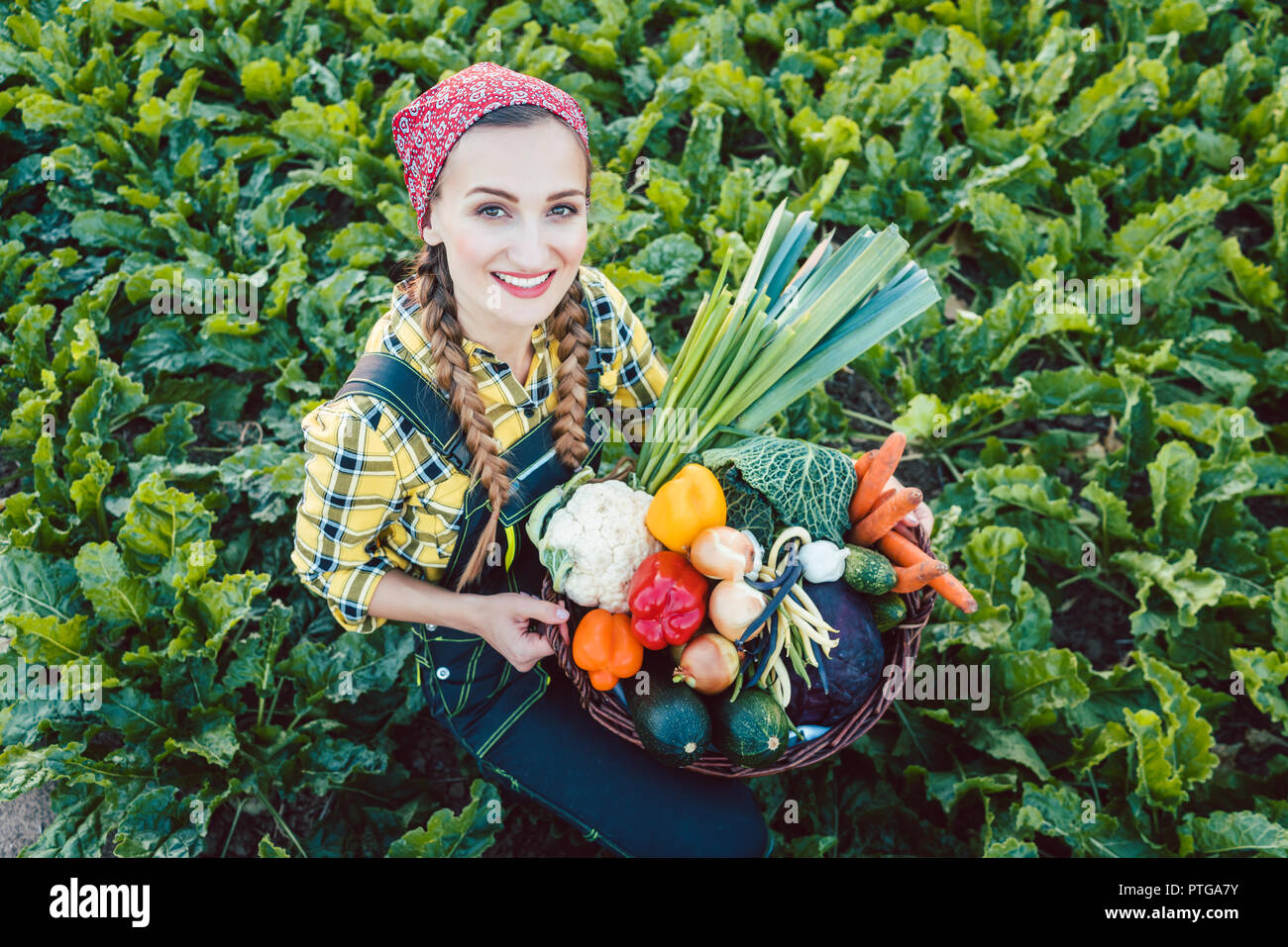 Farmer woman in a field offering colorful organic vegetables as healthy ...