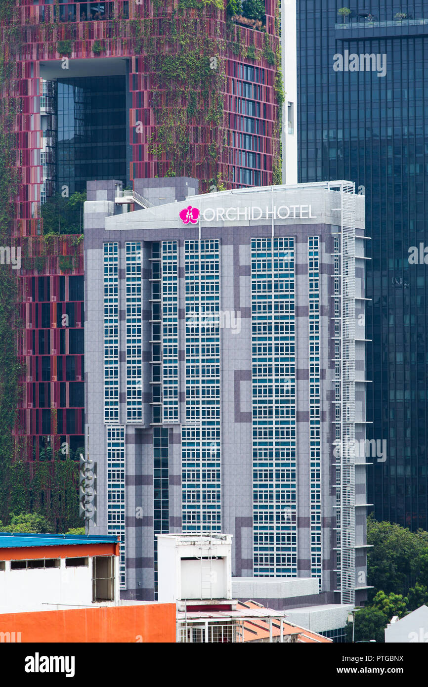 Orchid hotel 2024