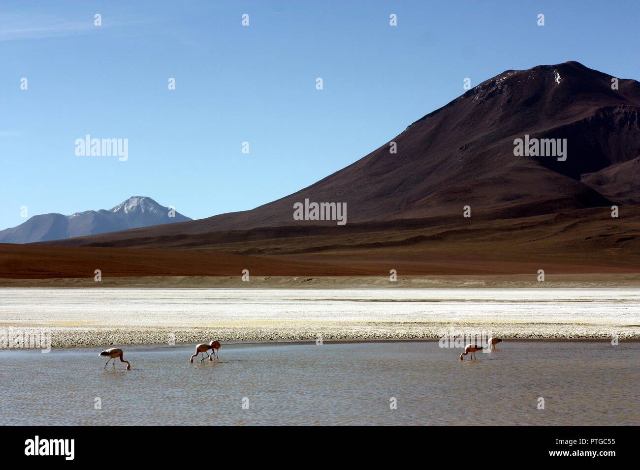 Paisaje bolivia hi-res stock photography and images - Alamy