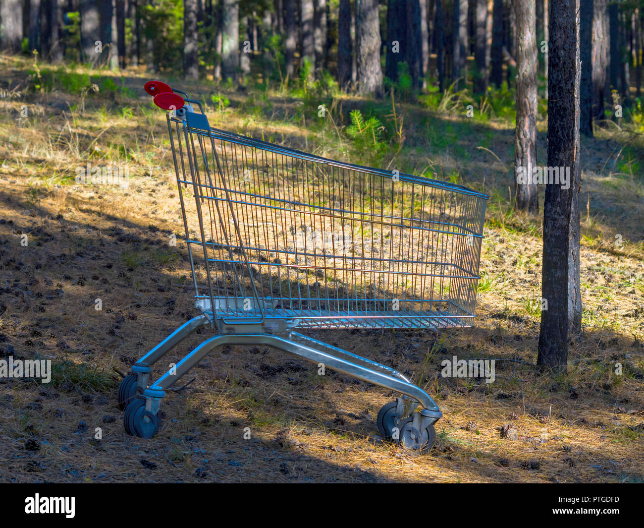 Empty Steel Supermarket Shopping Cart With Red Handles At The Forest Clearing, Deep In A Wood