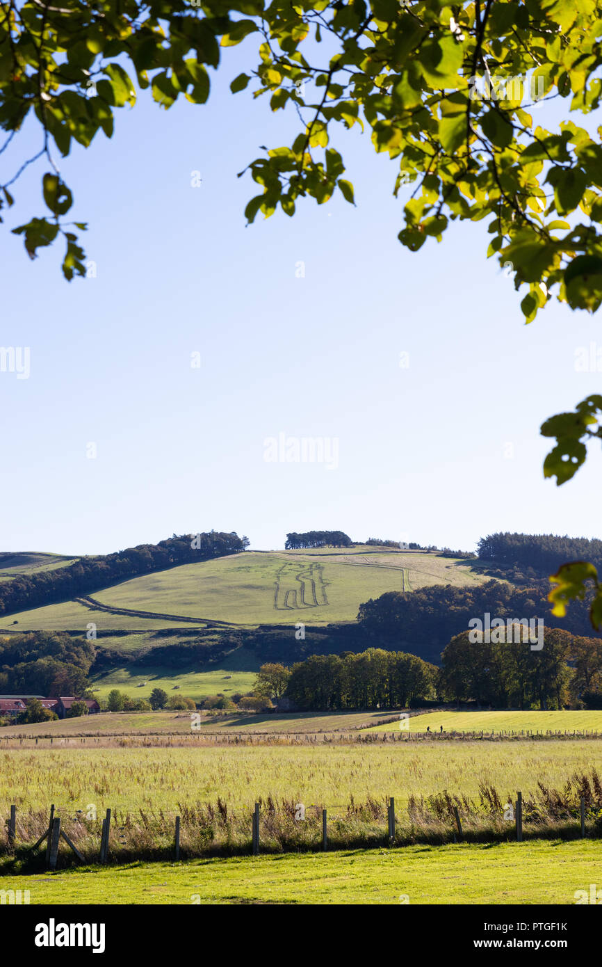 Looking towards the Newburgh Bear from the Fife Coastal Path,Newburgh