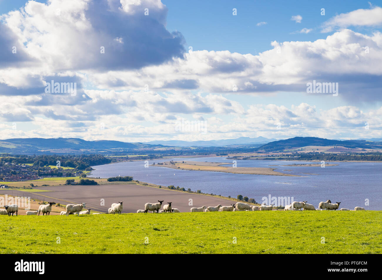 The fife coastal path at newburgh hires stock photography and images Alamy