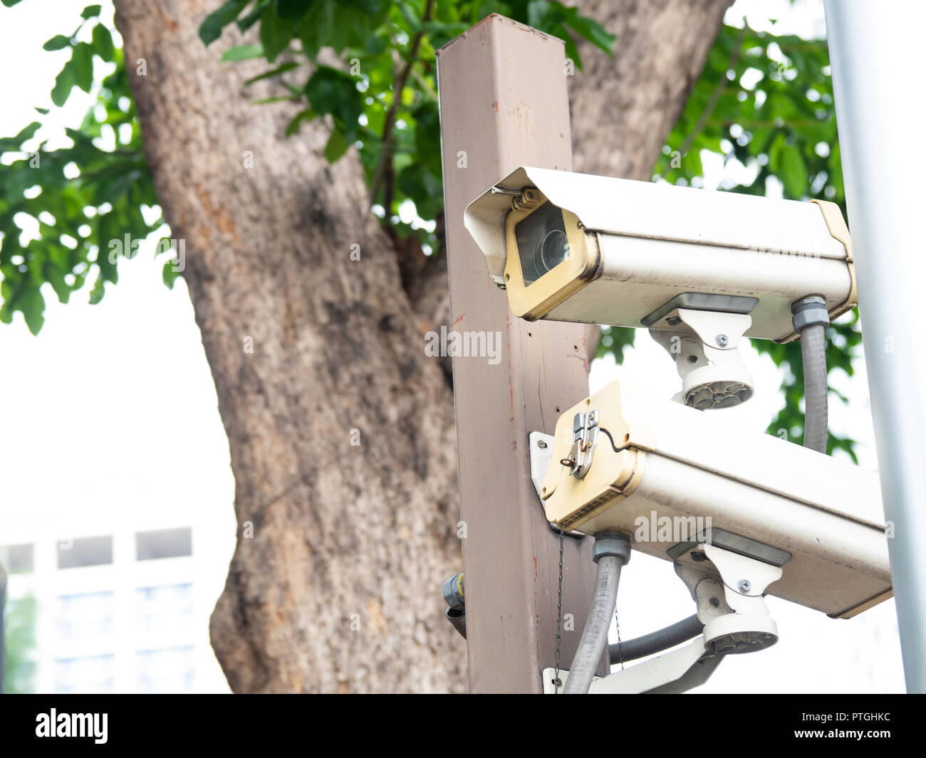 CCTV security camera installed in village for security guard monitoring