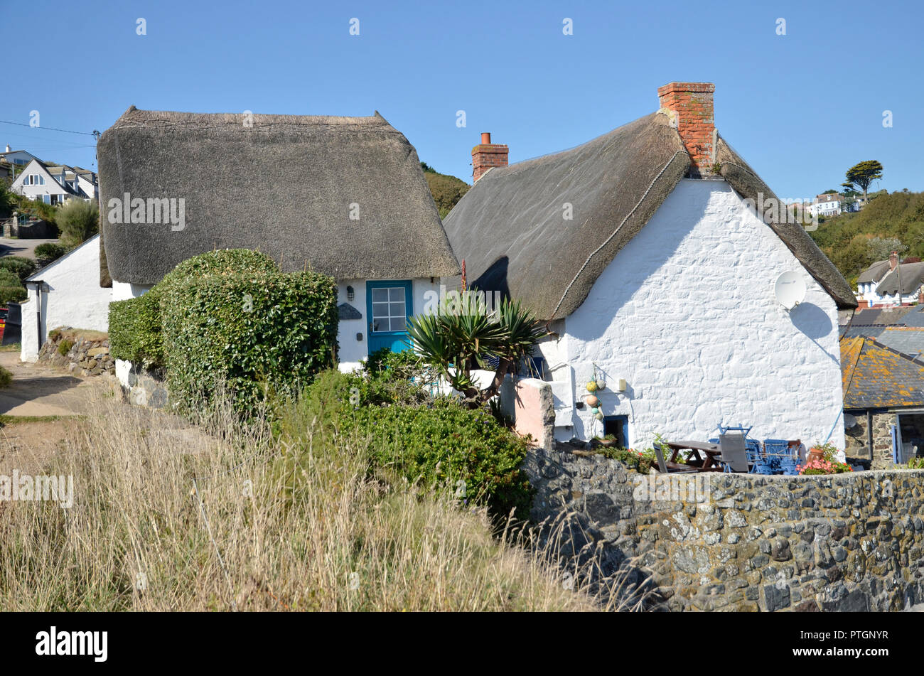 White Washed Thatched Cottages In The Small Cornish Village Of