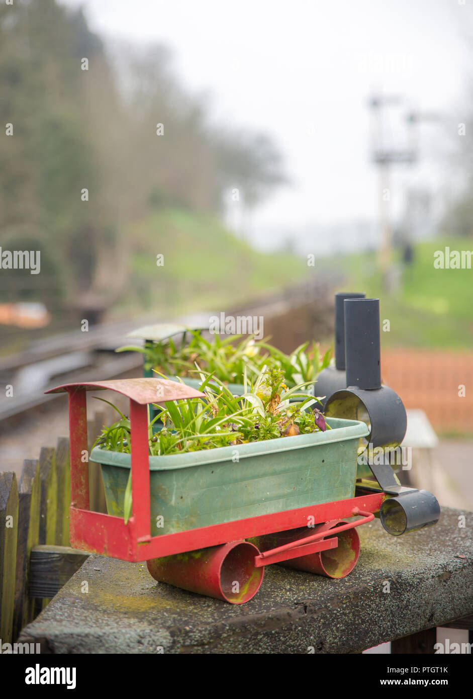 Close up of plant growing in flower pot designed as miniature steam train,  in situ at SVR steam railway station with track behind Stock Photo - Alamy