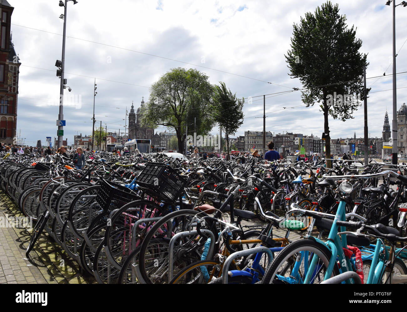 Bicycle stand in front of the Centraal station in Amsterdam Bike rack
