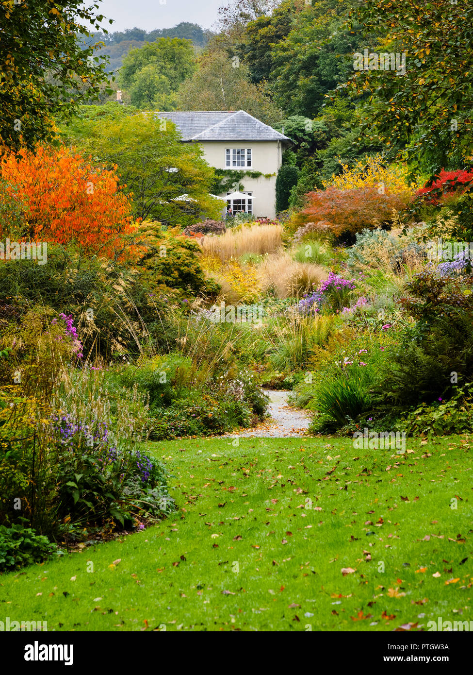Compressed perspective view over the Autumn hues of the Long walk at The Garden House, Buckland Monachorum, Devon, UK Stock Photo