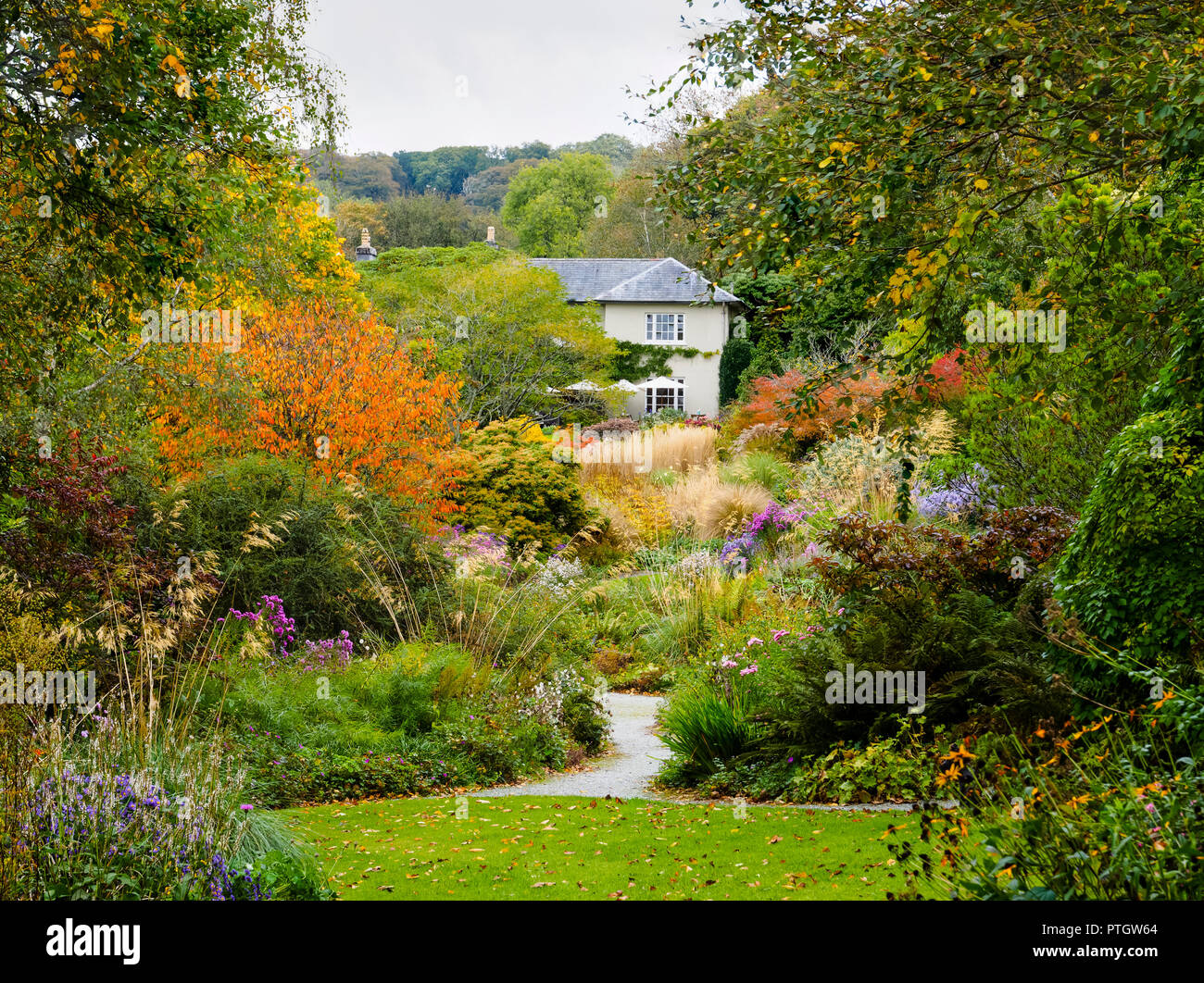 Compressed perspective view over the Autumn hues of the Long Walk at The Garden House, Buckland Monachorum, Devon, UK Stock Photo