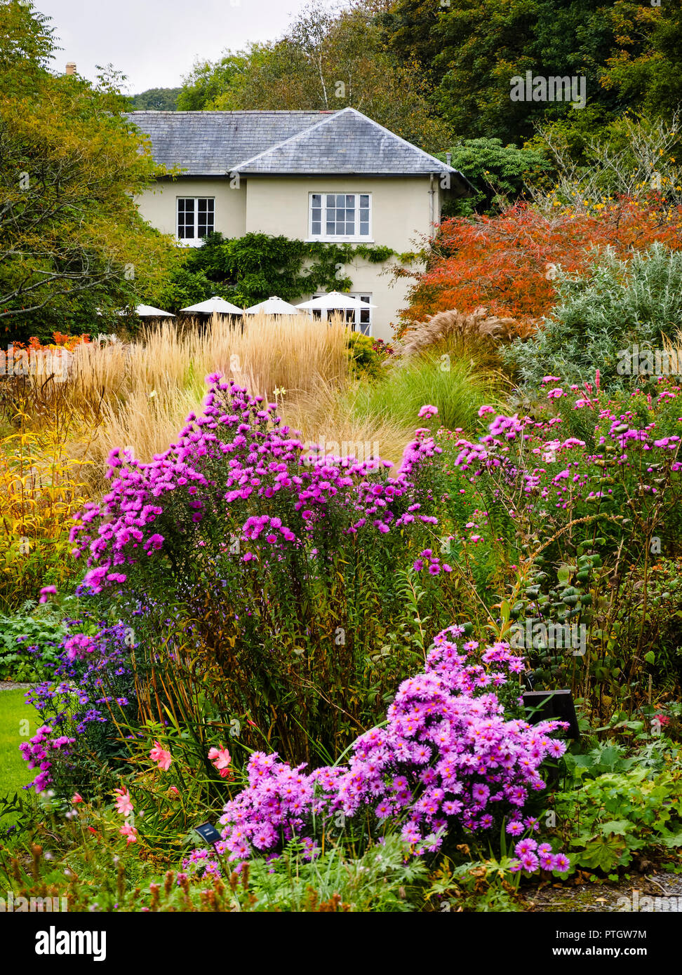 Compressed perspective view over the Autumn hues of the Summer garden at The Garden House, Buckland Monachorum, Devon, UK Stock Photo