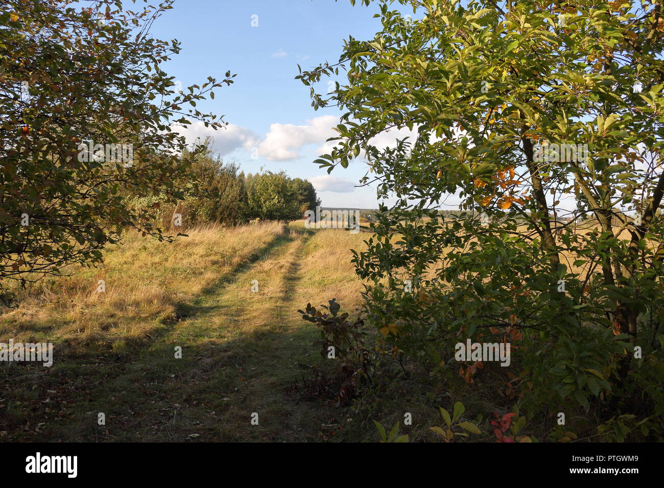 Countryside footpath in early autumn Stock Photo