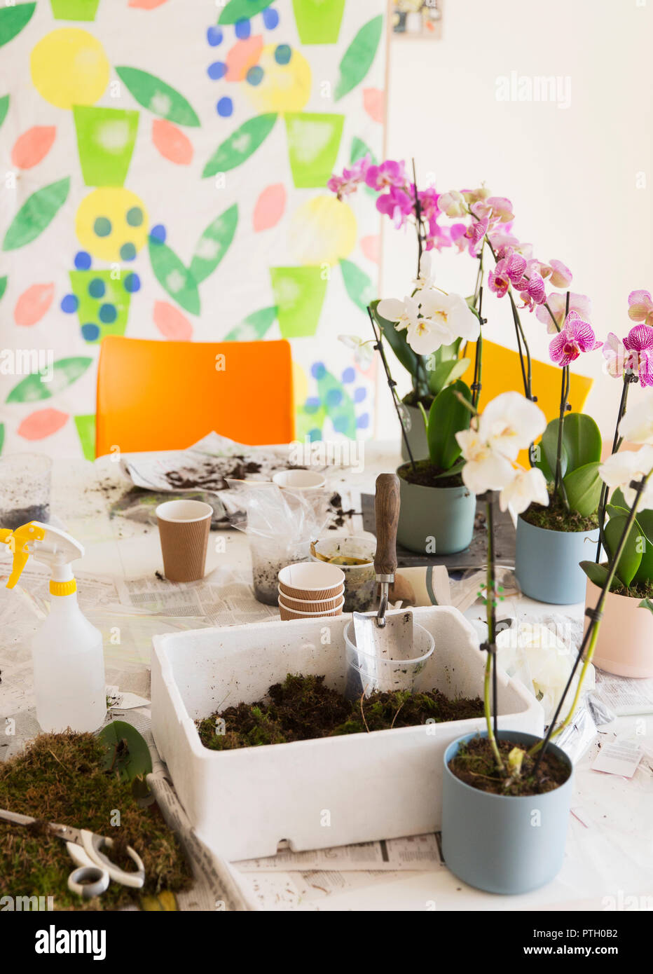 Orchids and potting soil on flower arranging class table Stock Photo