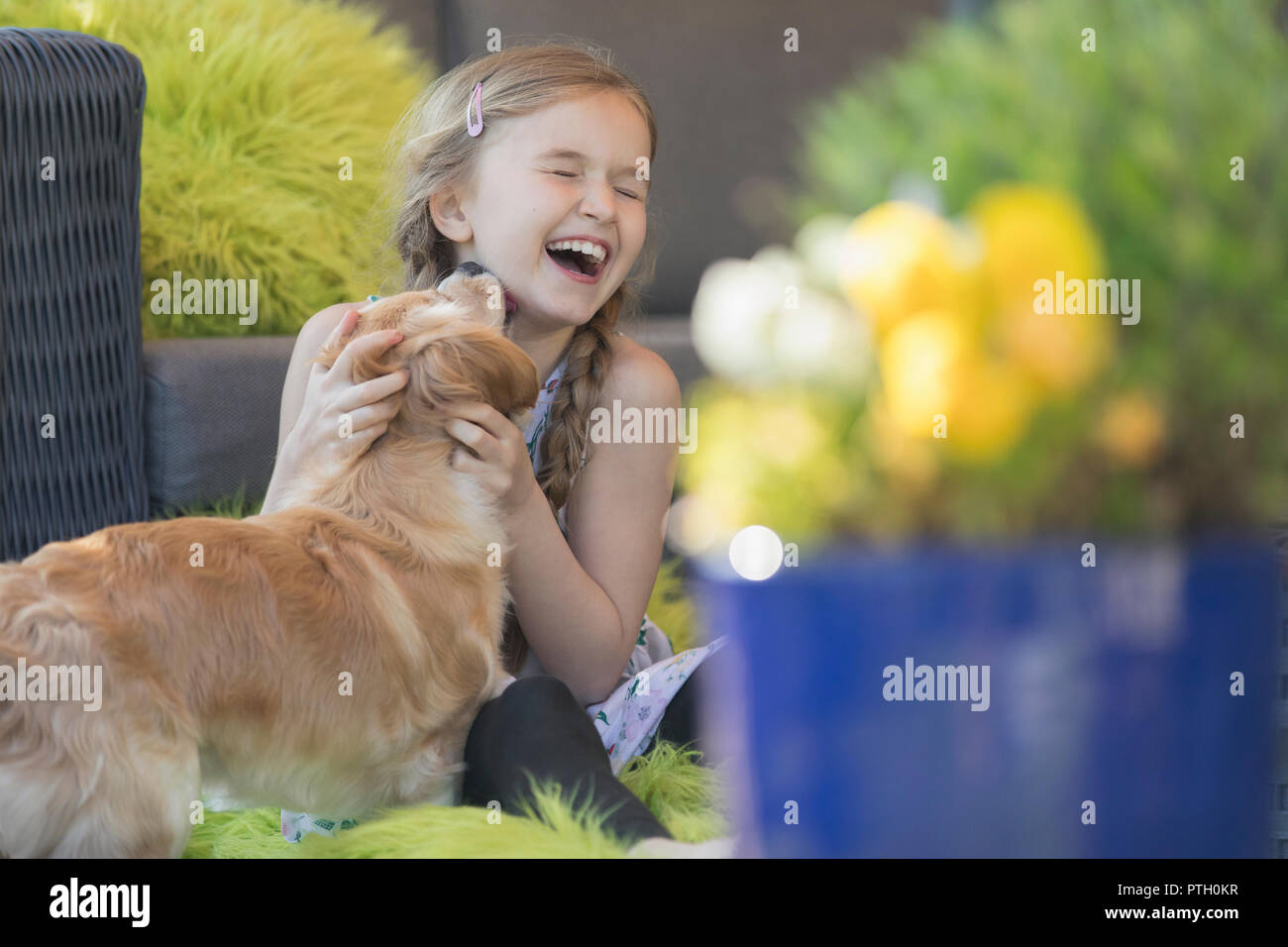 Dog kissing laughing girl on patio Stock Photo