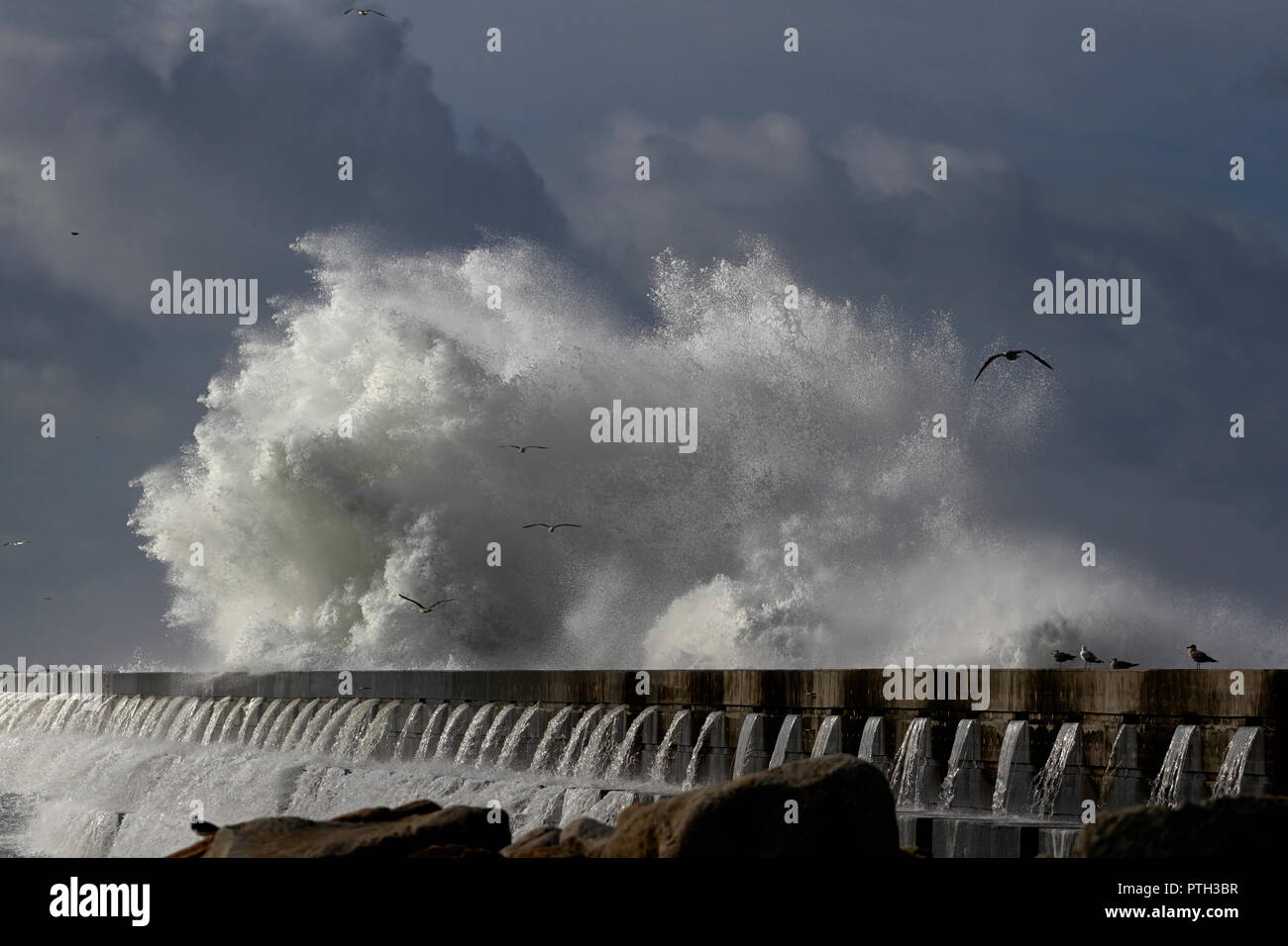 huge jordan shoe box drawer