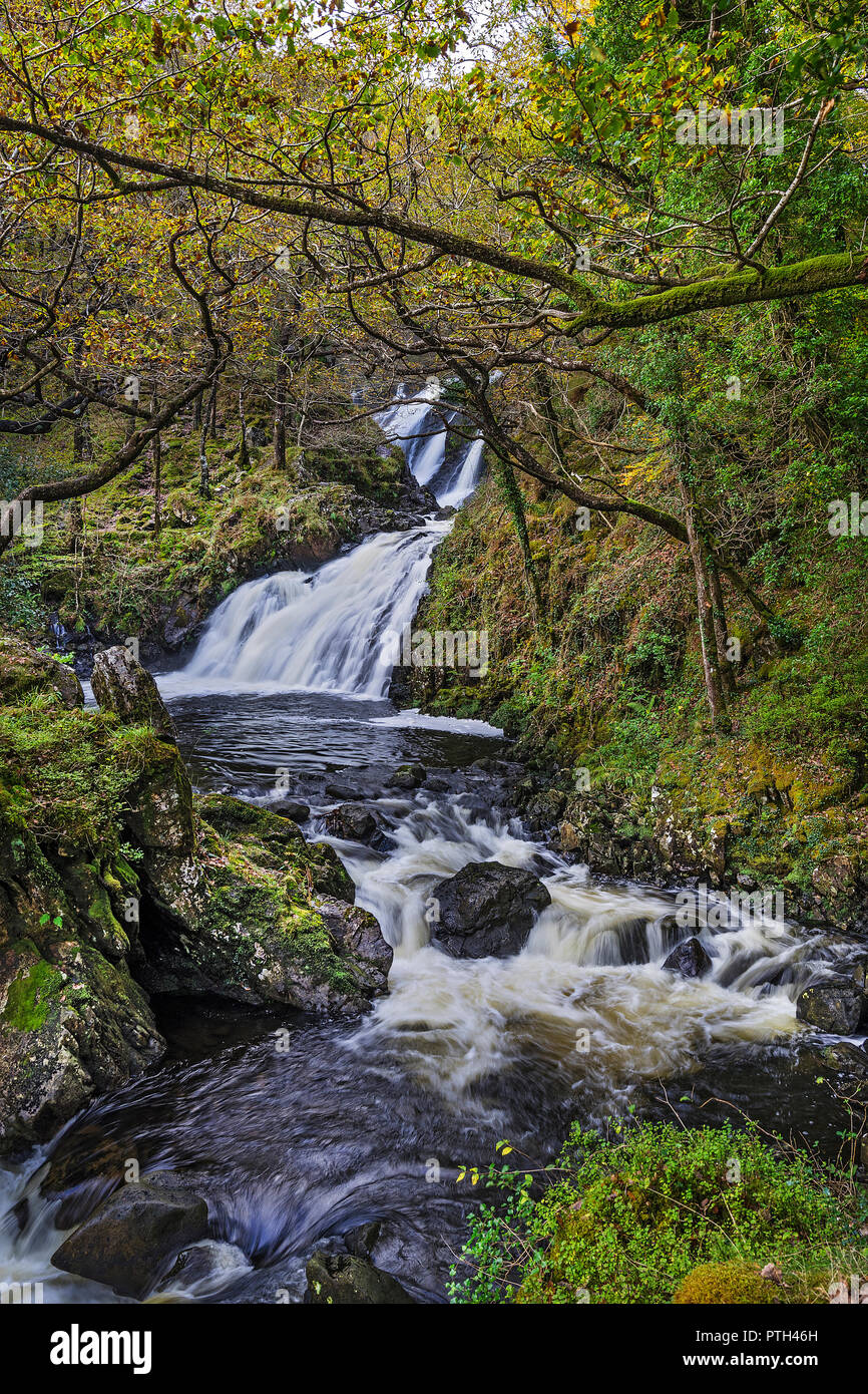 Rhaeadr Ddu or Black Falls on the Afon (River) Gamlan in the Coed Ganllwyd National Nature Reserve in the Coed-y-Brenin forest near Ganllwyd Stock Photo