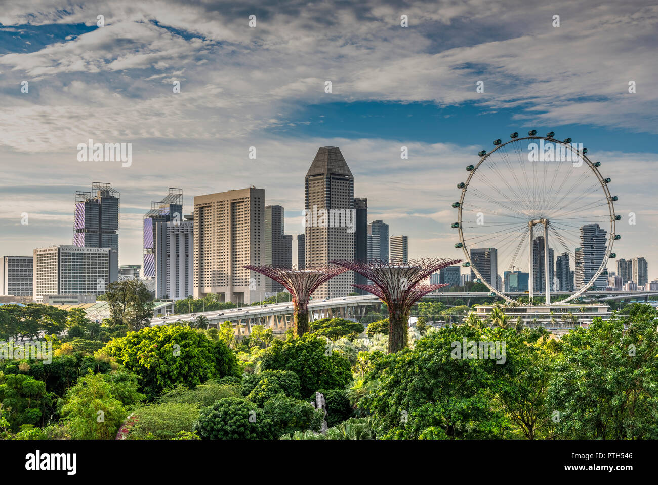 Singapore Flyer ferris wheel and city skyline behind, Singapore Stock Photo