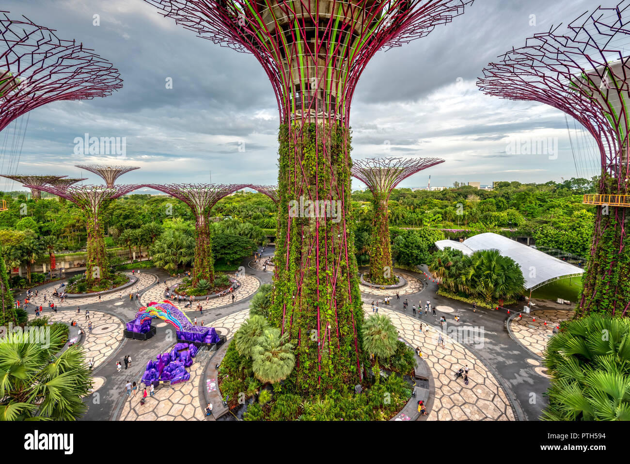The Supertree Grove at Gardens by the Bay nature park, Singapore Stock Photo