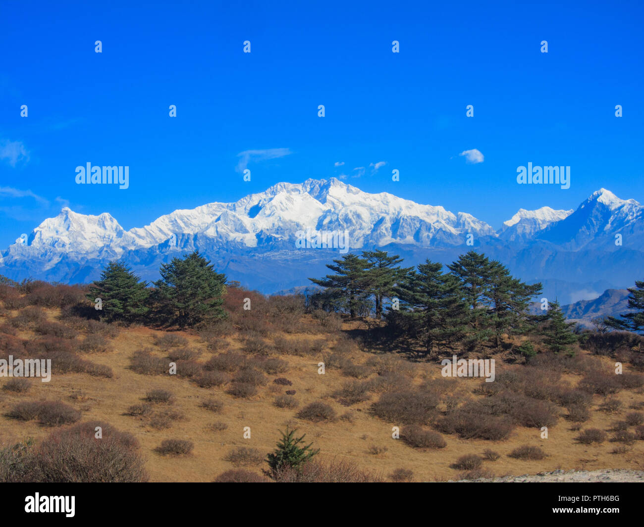 Sandakphu Trekking (West Bengal, India) Stock Photo