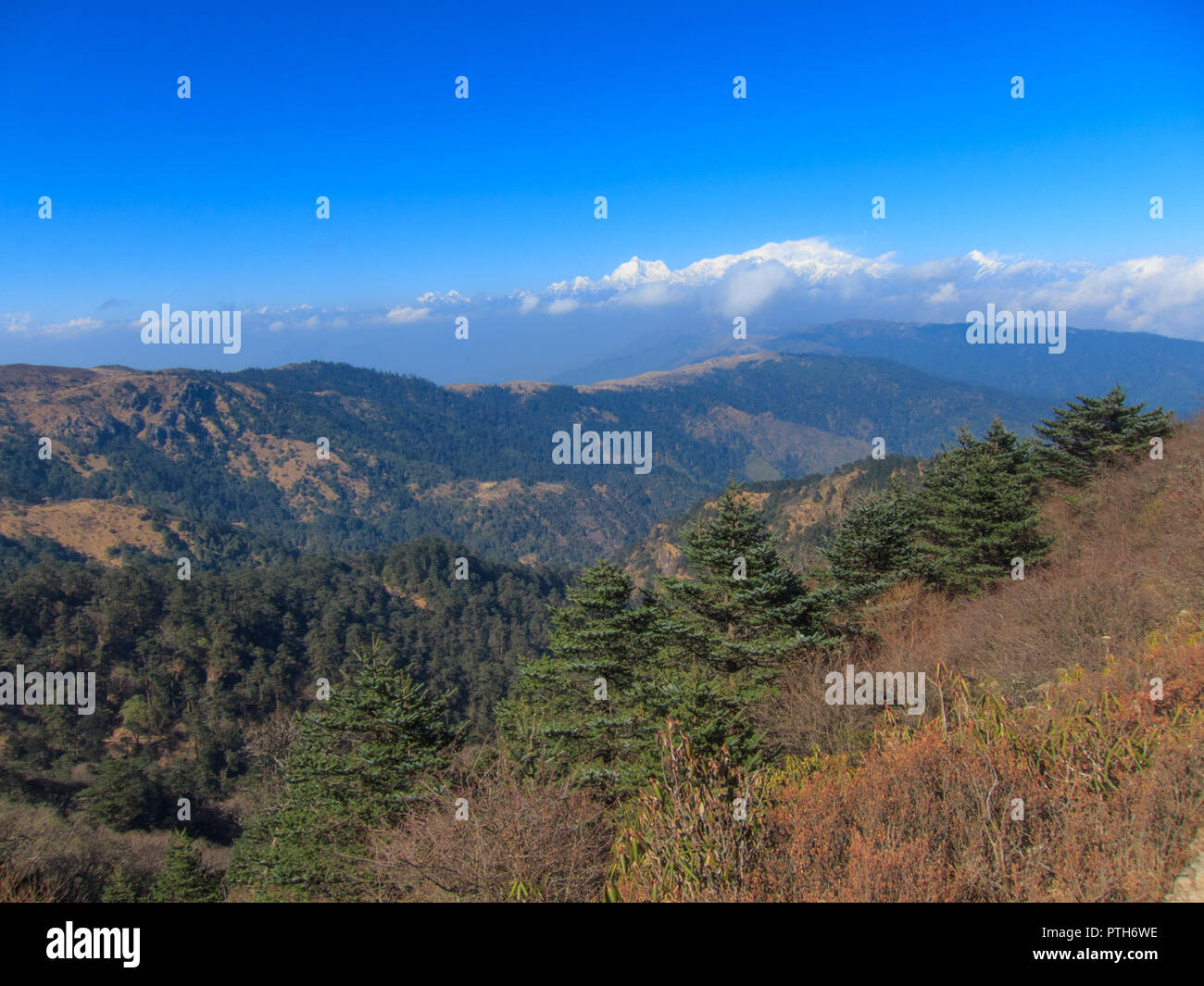 Sandakphu Trekking (West Bengal, India) Stock Photo