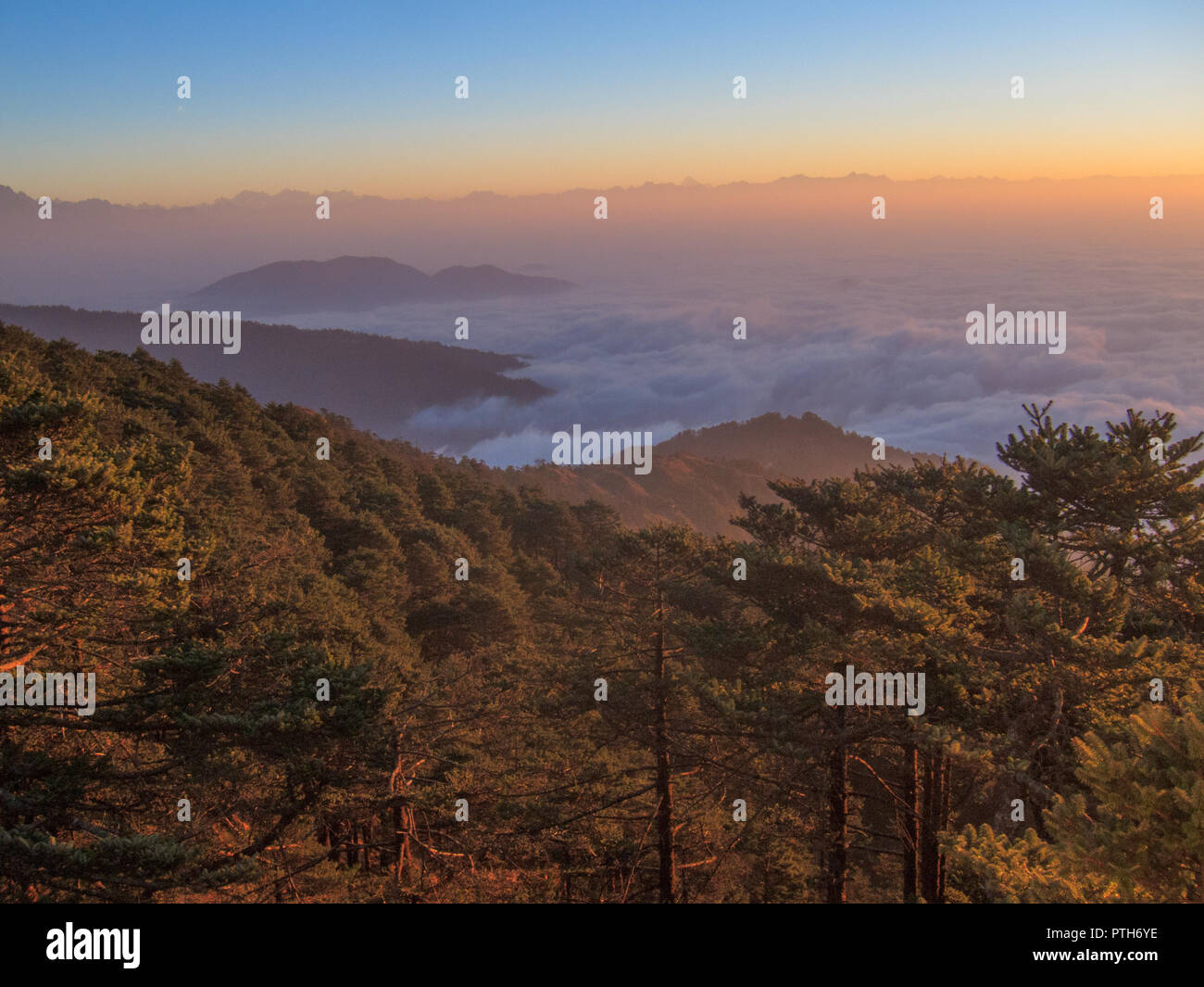 Sandakphu Trekking (West Bengal, India) Stock Photo