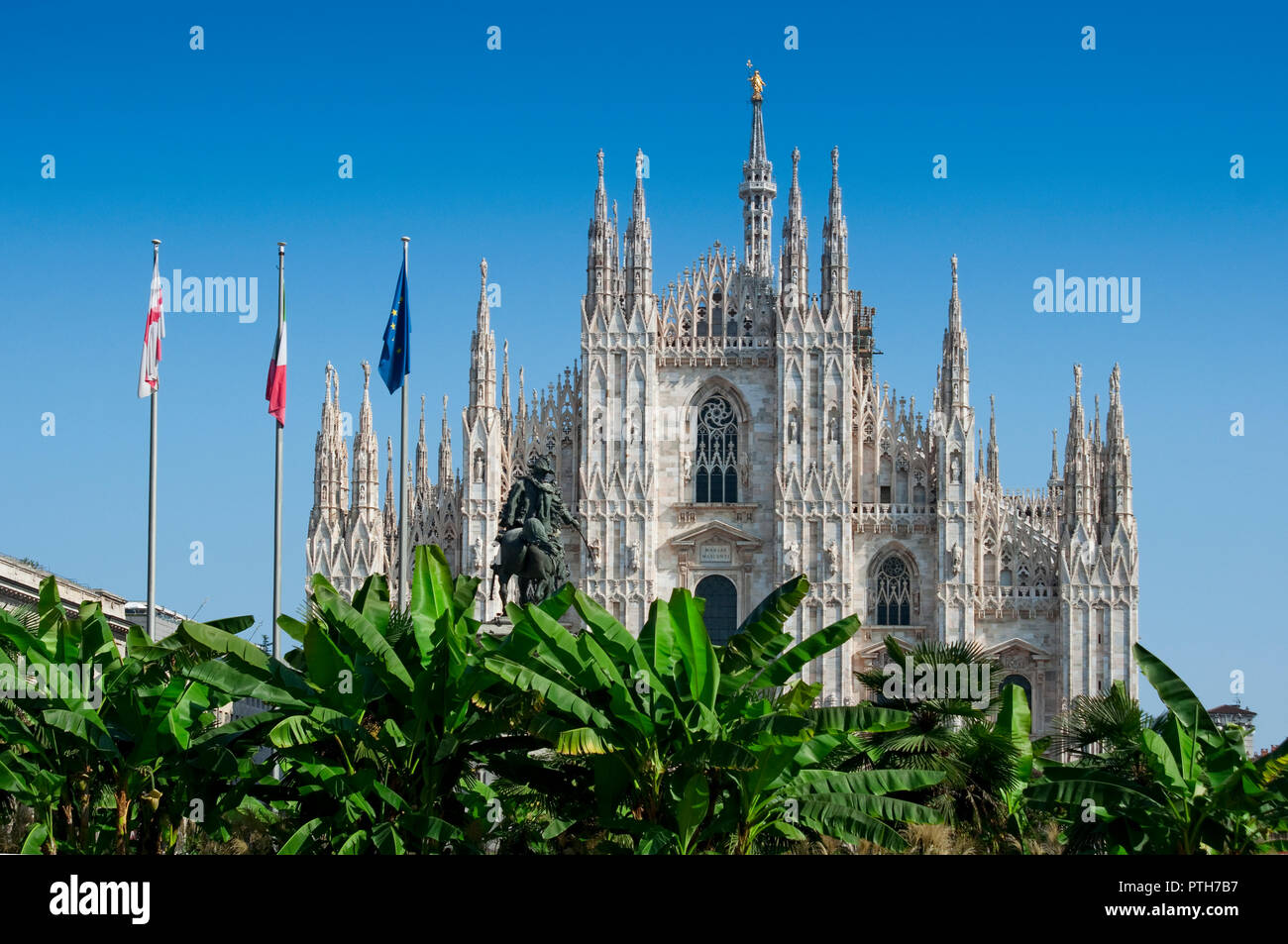 Italy. Lombardy, Milan, Piazza Duomo Square, Palm Trees Stock Photo