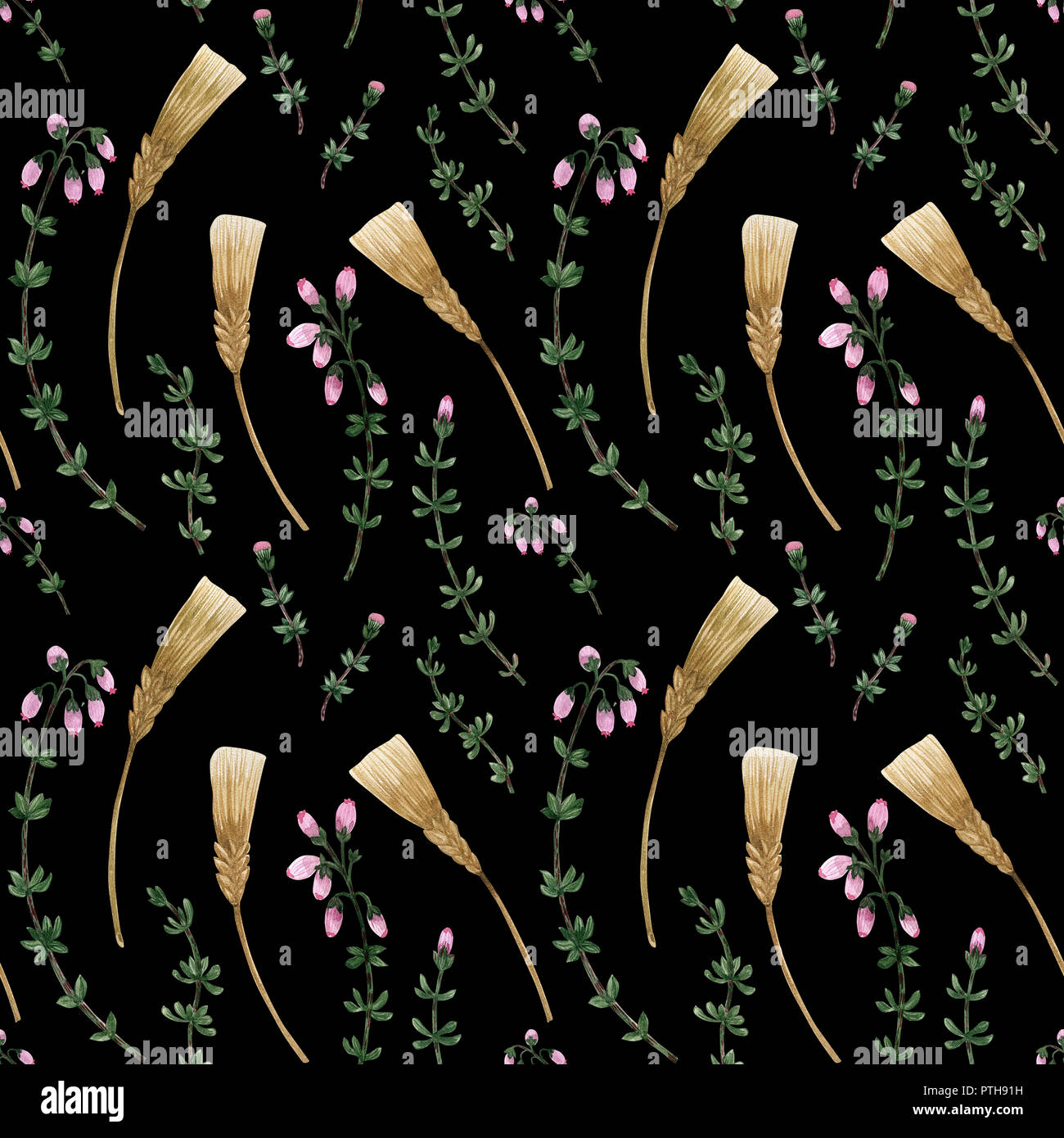 Wild plants of Scotland seamless pattern. Heather and barley. Watercolor on a black background, path included Stock Photo