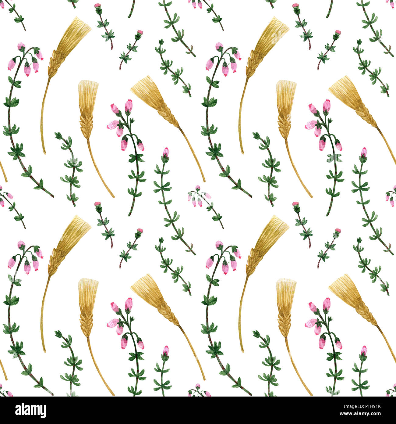 Wild plants of Scotland seamless pattern. Heather and barley. Watercolor on a white background, path included Stock Photo