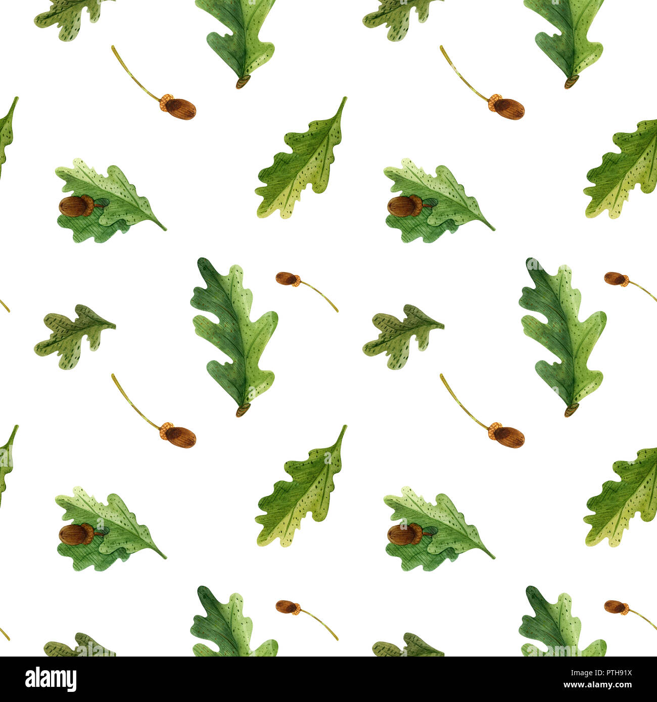 Oak leaves and acorns seamless pattern. Watercolor on a white ...