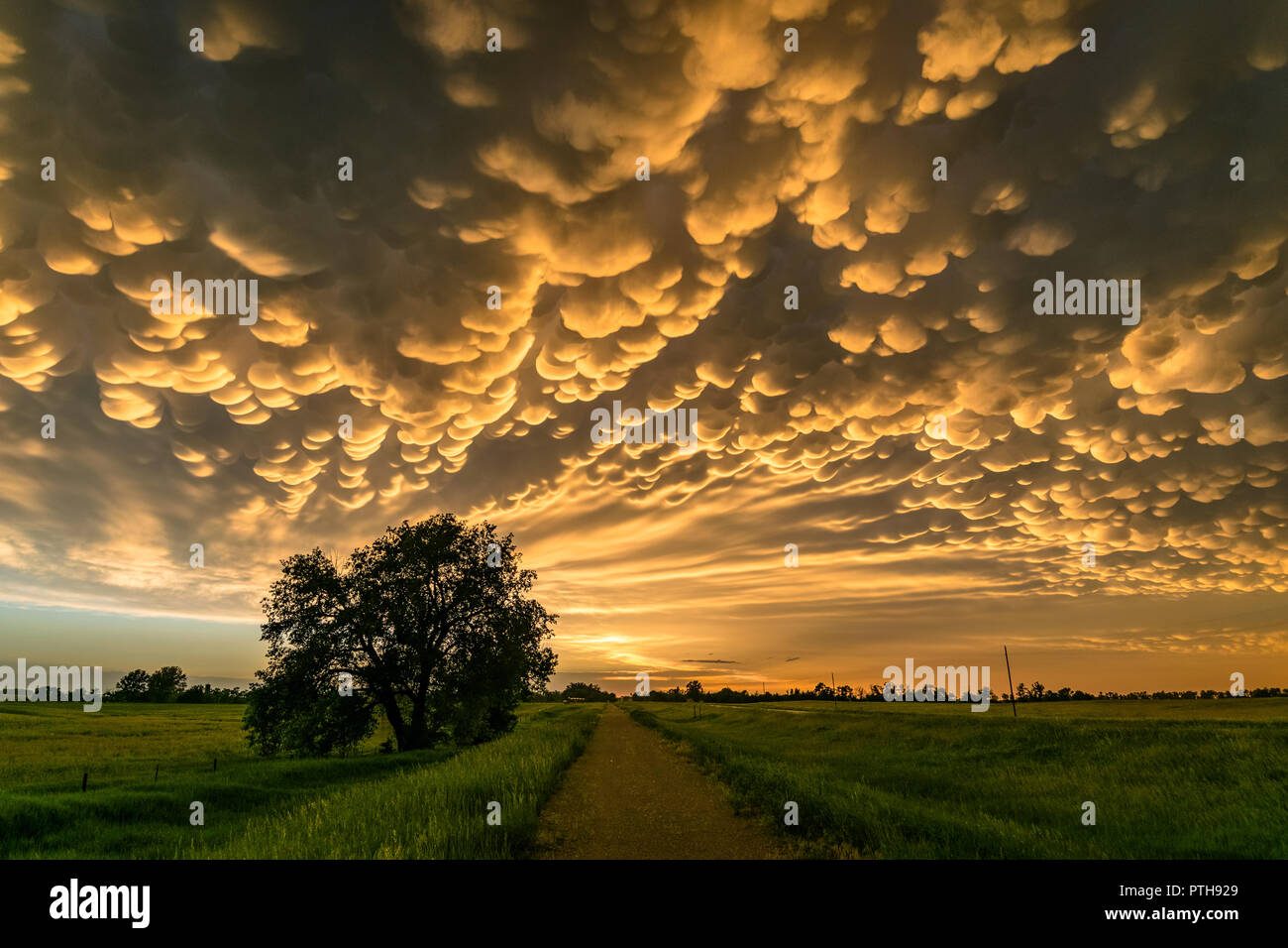 mammatus-clouds-at-the-back-of-a-thunderstorm-over-north-central