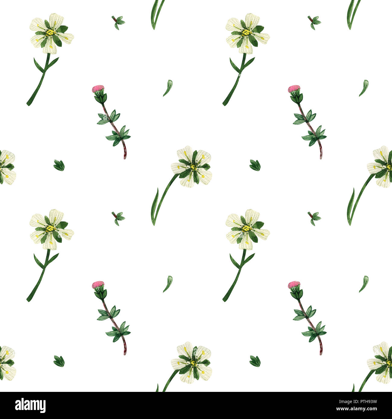 Wild plants of Scotland seamless pattern. Heather and Arctic Stitchwort flowers. Watercolor on a white background, path included Stock Photo