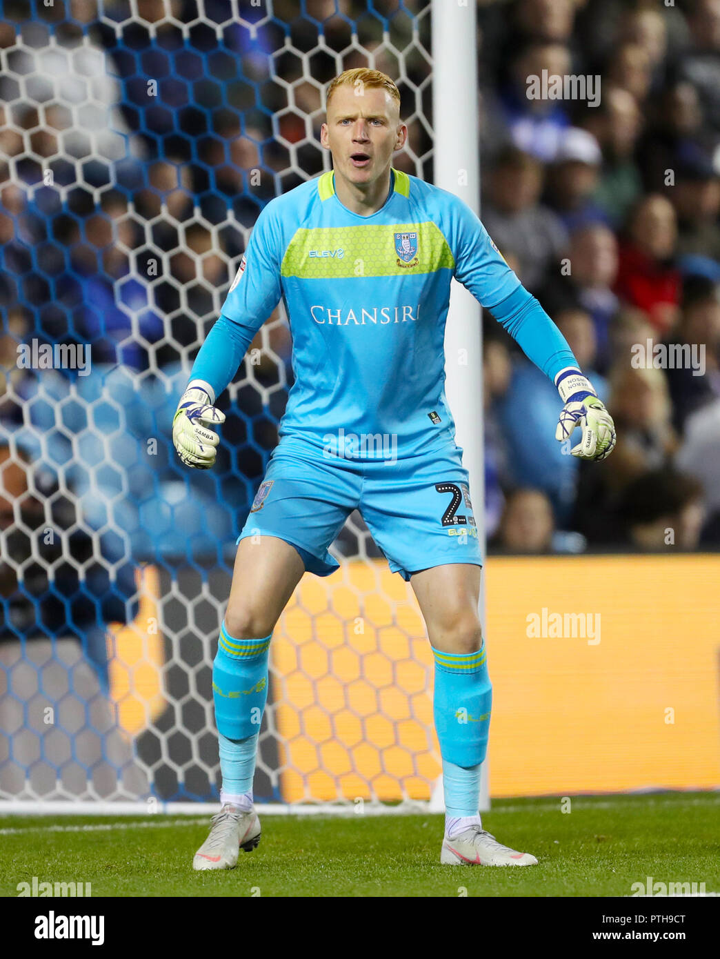 Sheffield Wednesday goalkeeper Cameron Dawson Stock Photo