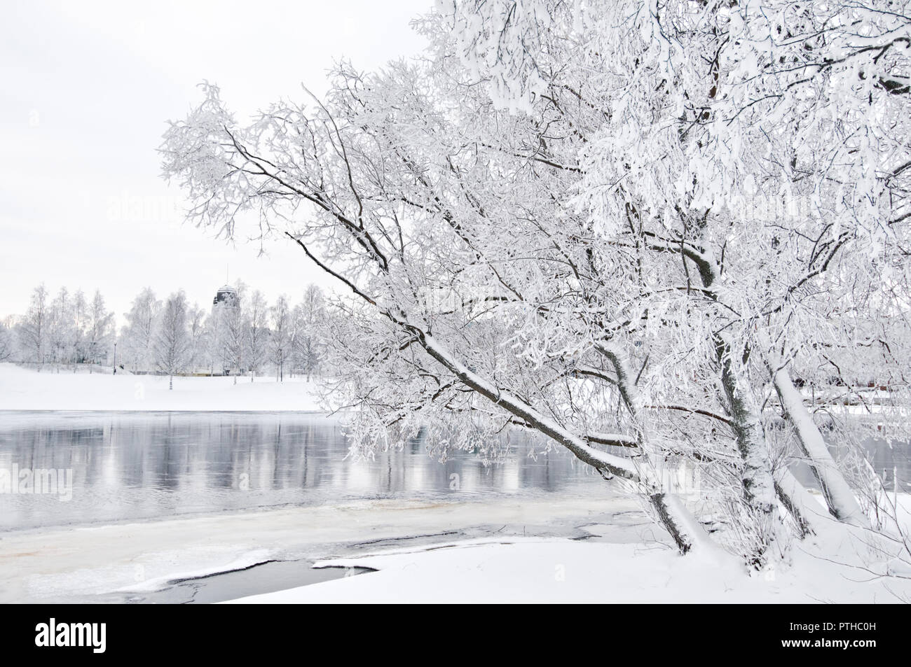 Winter river scenery with frost covered trees on riverbank. Stock Photo