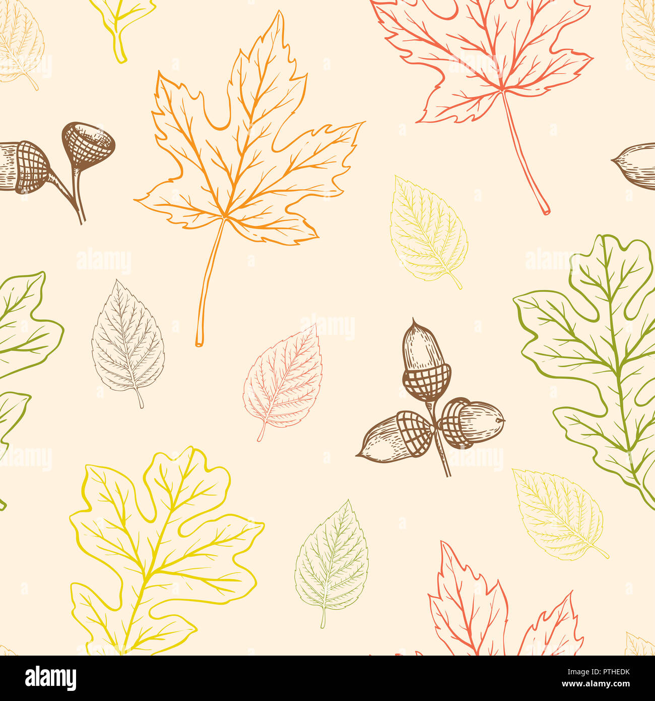 Autumn seamless pattern with oak and maple leaves and acorns. Hand ...