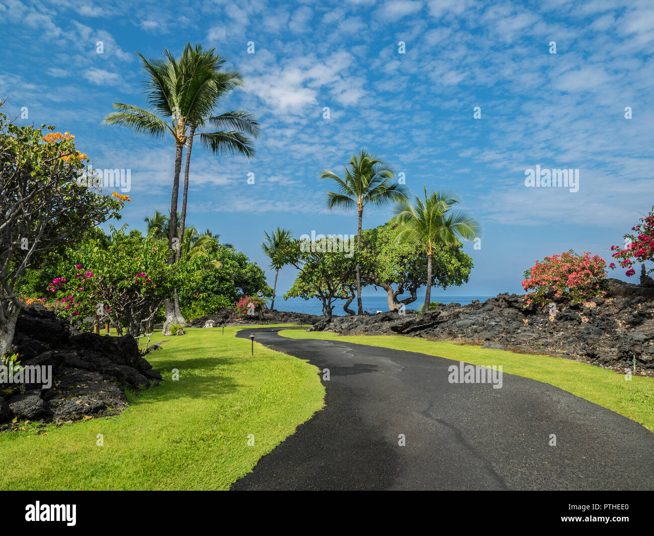 BIG ISLAND, HI JULY 11, 2015 The gardens of the Big Island Sheraton