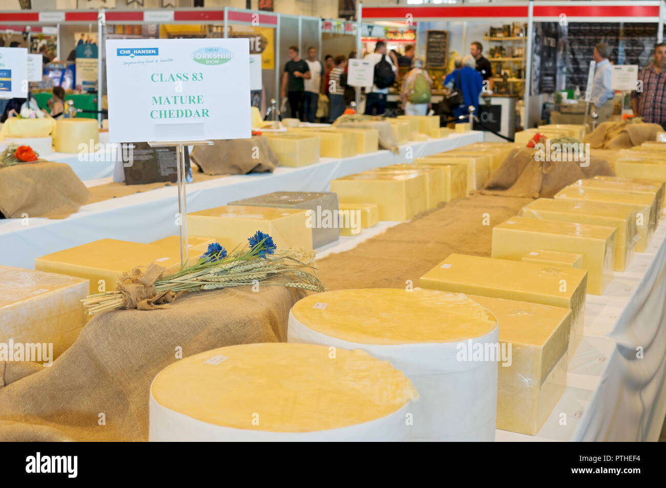 Mature Cheddar cheeses cheese competition Great Yorkshire Show Harrogate North Yorkshire England UK United Kingdom GB Great Britain Stock Photo