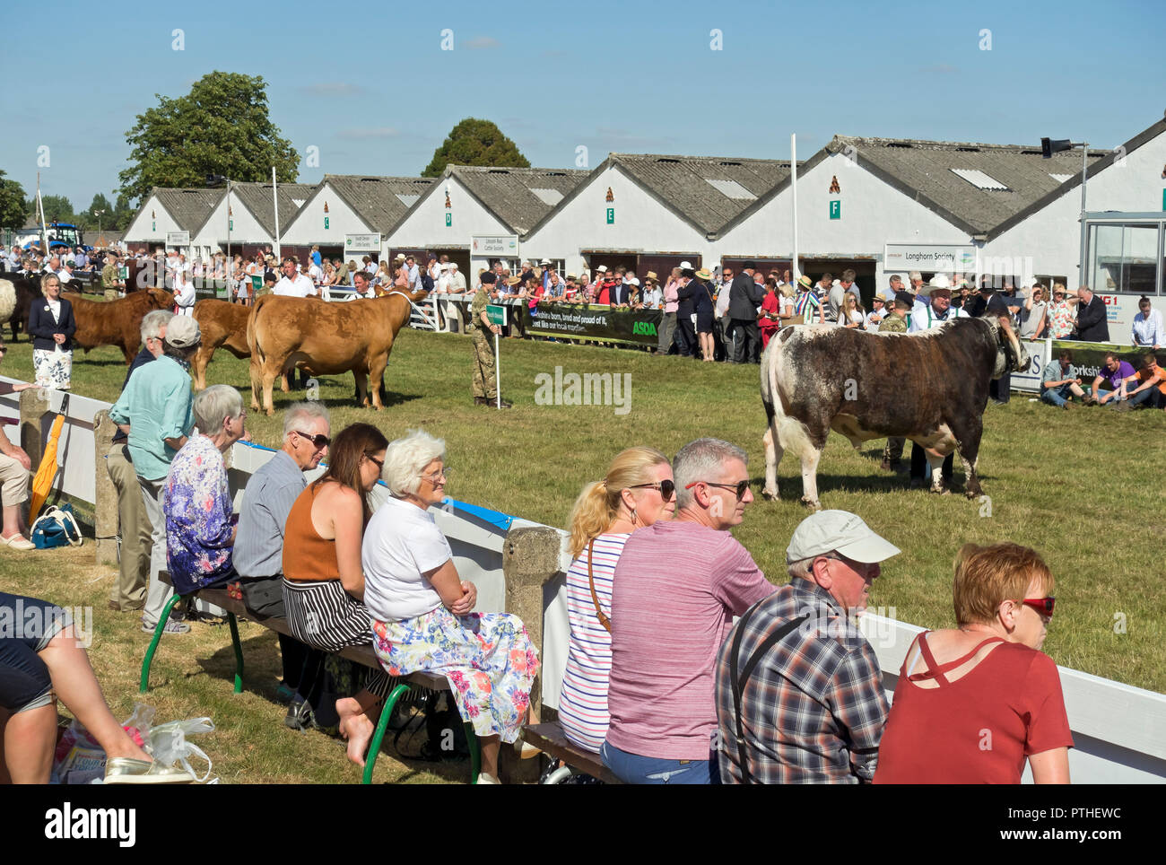 People watching the prize winning cattle parade at Great Yorkshire Show in summer Harrogate North Yorkshire England UK United Kingdom Great Britain Stock Photo