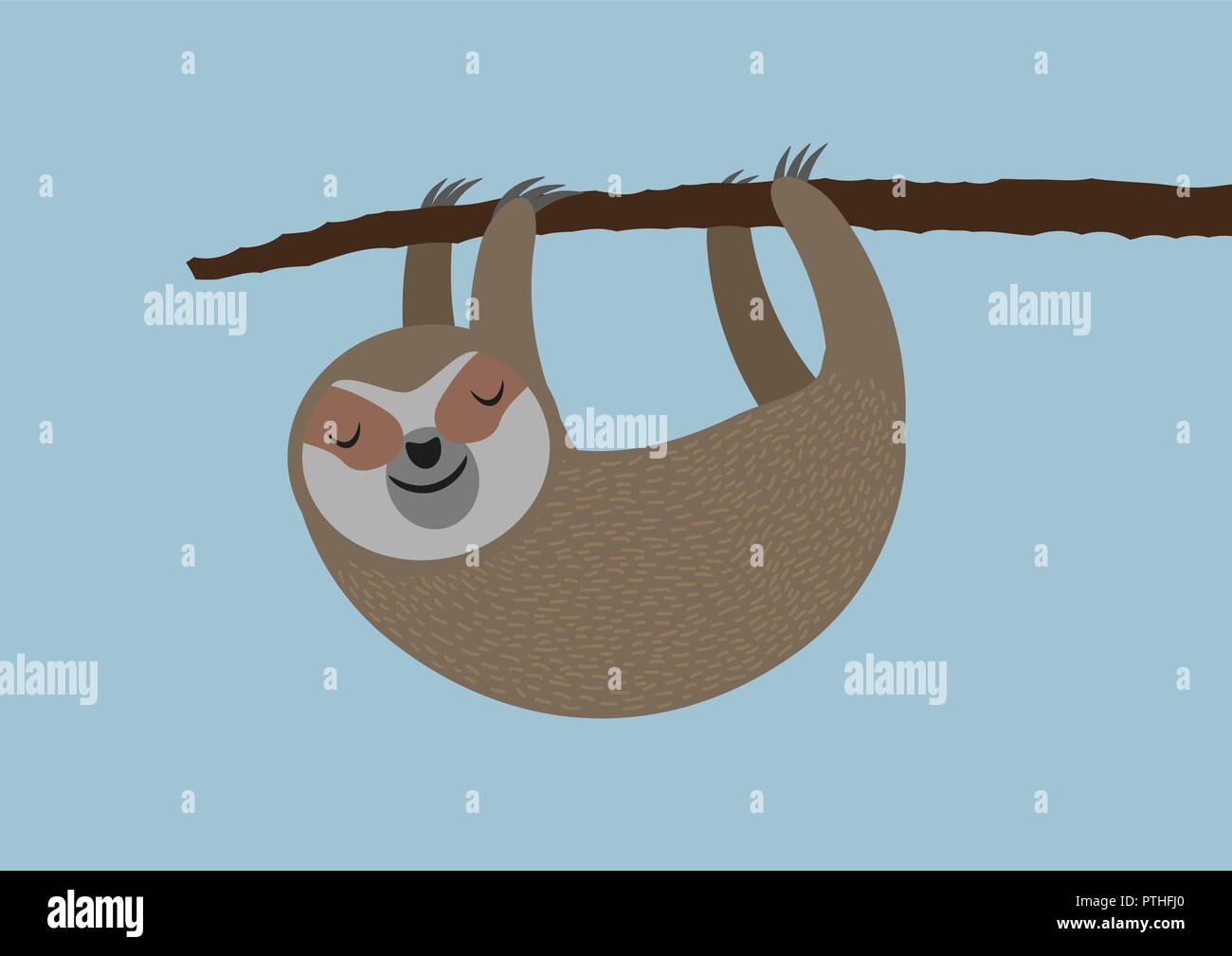 cute sloth hanging on tree branch Stock Vector