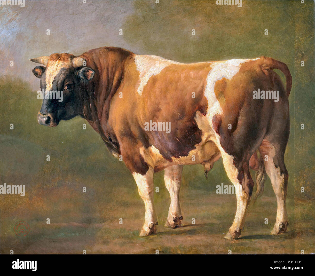 Brascassat  Jacques Raymond - Studie Van Een Stier Stock Photo