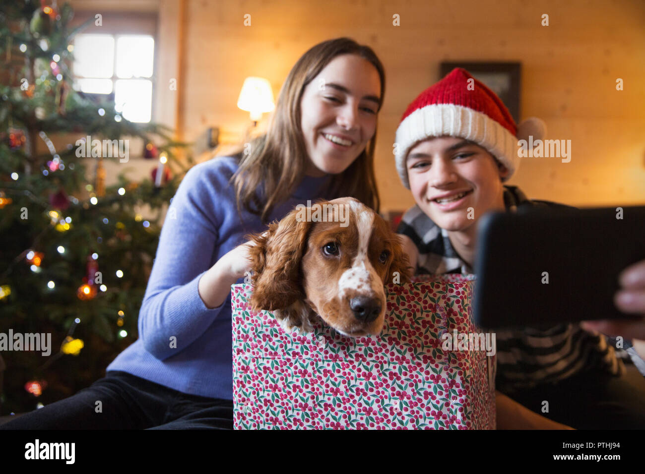 Brother and sister taking selfie with dog in Christmas gift box Stock Photo