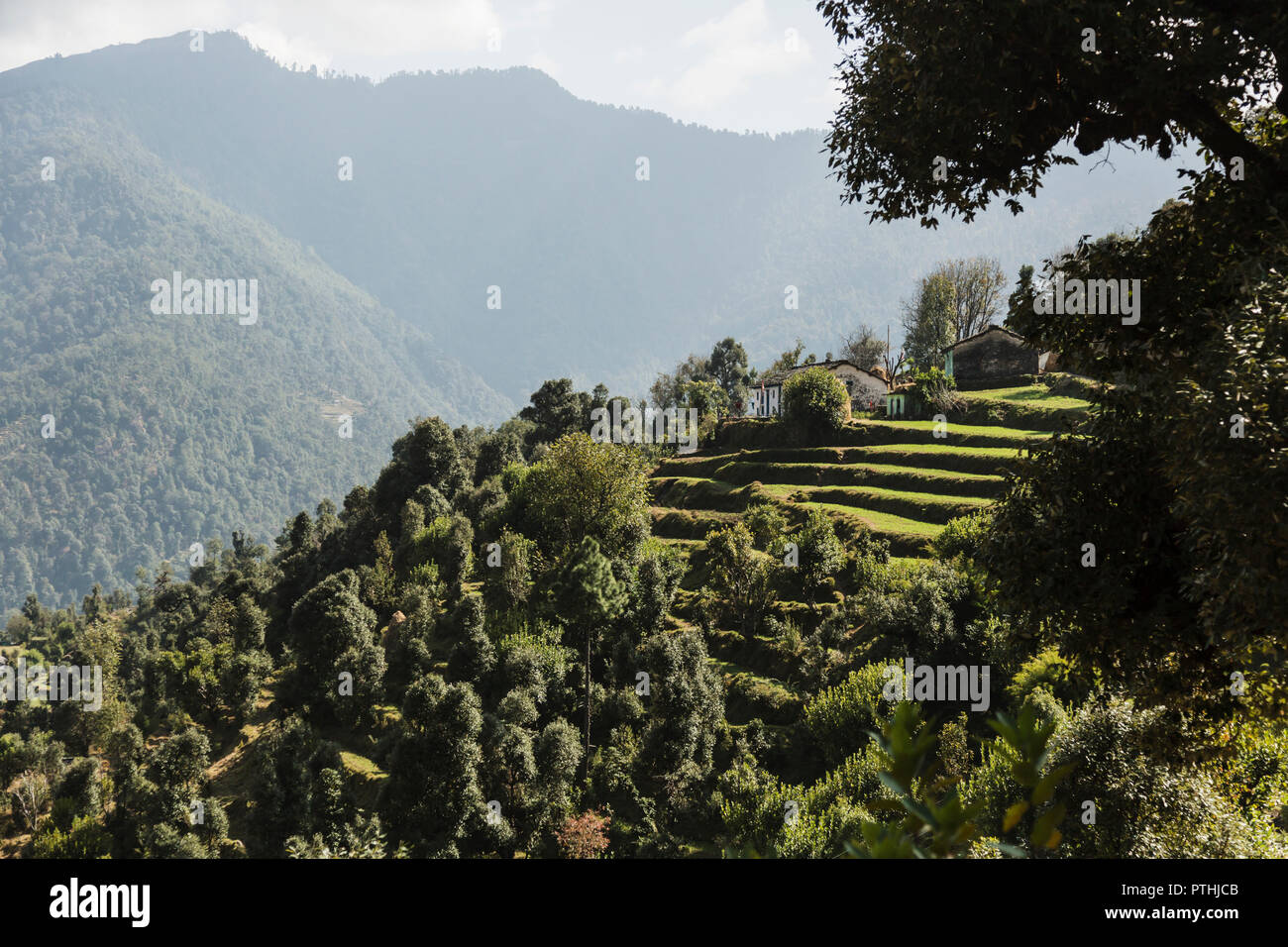 Sunny scenic view green foothills, Supi Bageshwar, Uttarakhand, Indian Himalayan Foothills Stock Photo
