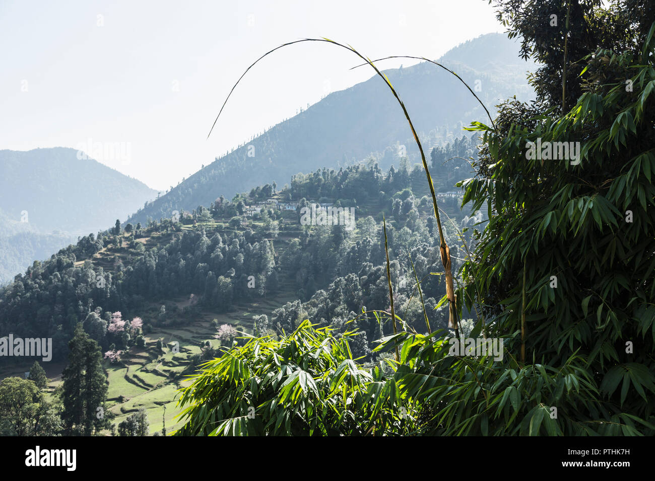 Sunny scenic view, Supi Bageshwar, Uttarakhand, Indian Himalayan Foothills Stock Photo