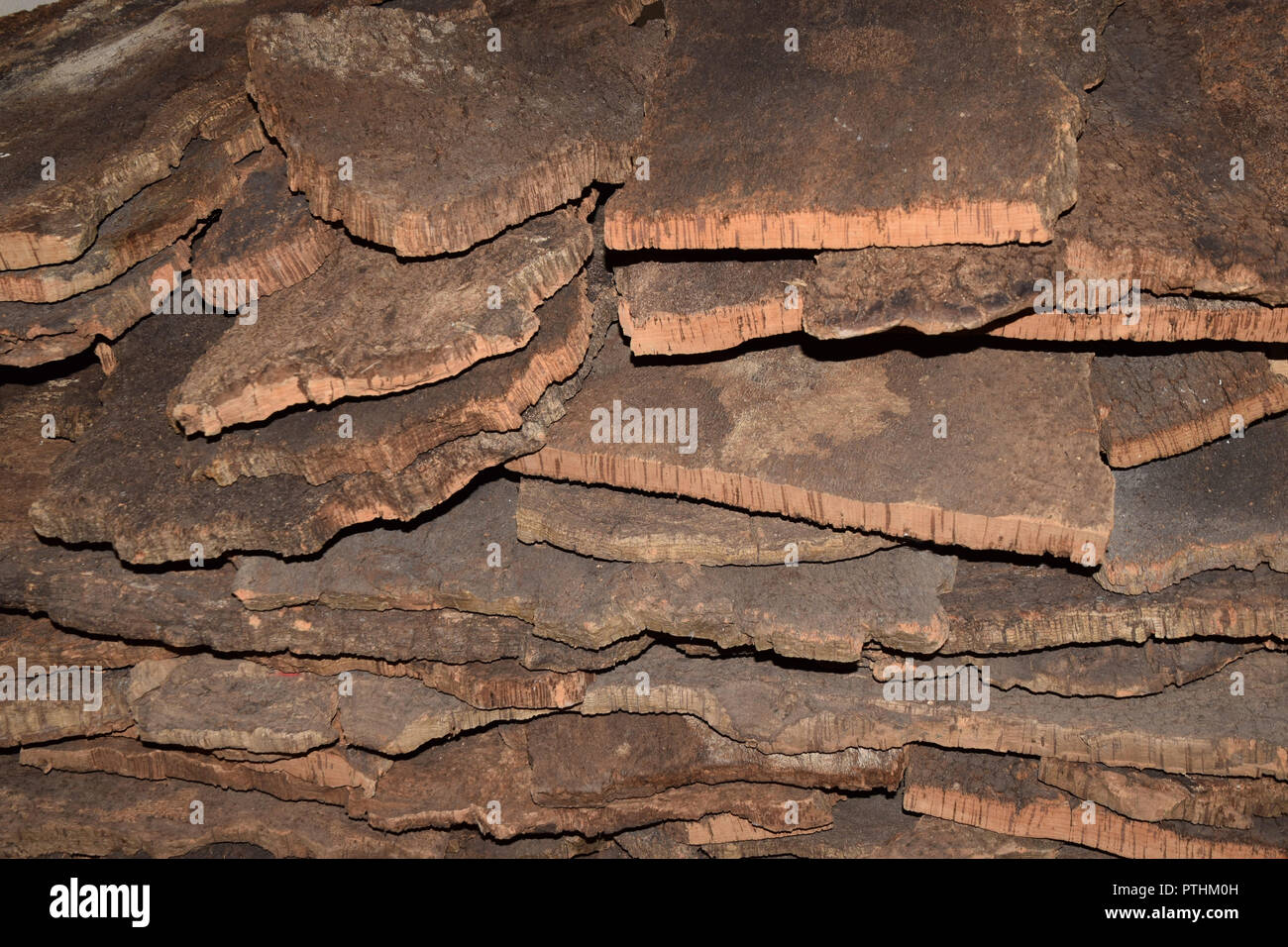 old cork bark stored for drying, peeled cork planks from quercus suber
