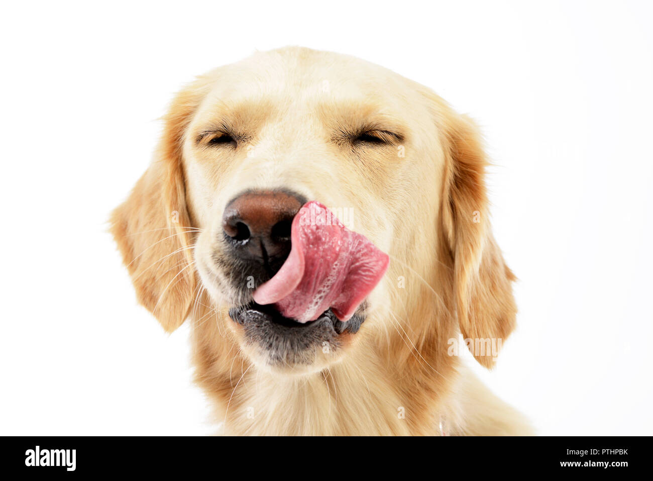 Why Is My Dog Smacking Her Lips