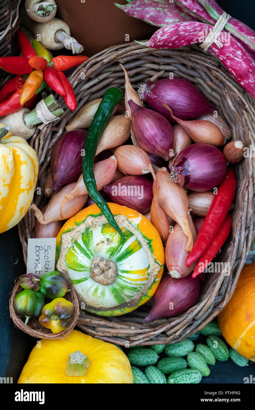 Colourful autumnal vegetable display at an Autumn show. UK Stock Photo