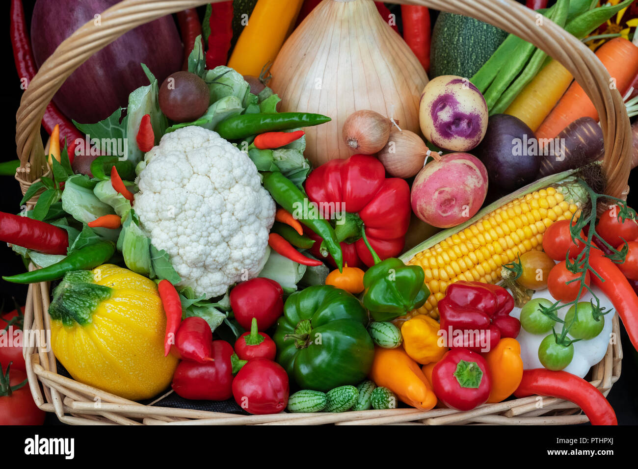 Colourful autumnal vegetable display at an Autumn show. UK Stock Photo